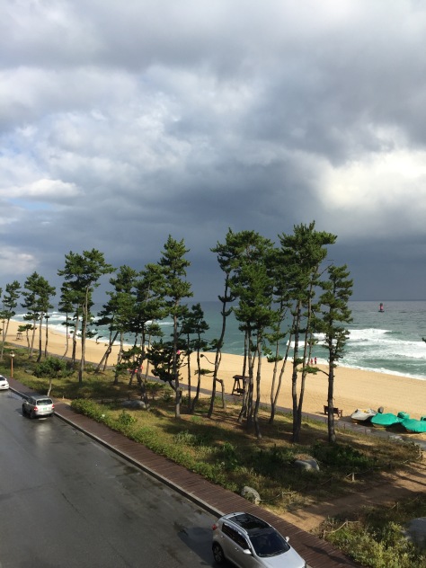 stormy-beach